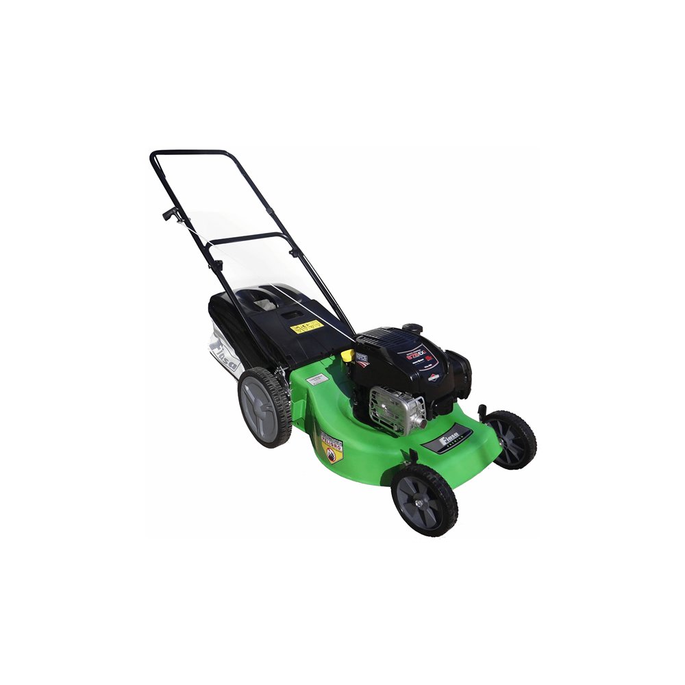 Cortadora de césped Naftera Fiasa Motor Briggs & Stratton 675 EX 163 CC FC1111412