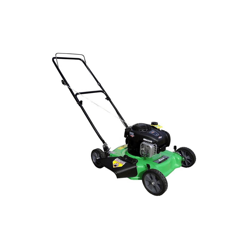 Cortadora de césped Naftera FIASA Motor Briggs & Stratton 450 125 CC